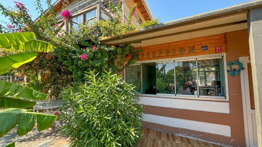 Ayvalı Gaia Bungalow Bed & Breakfast エクステリア 写真